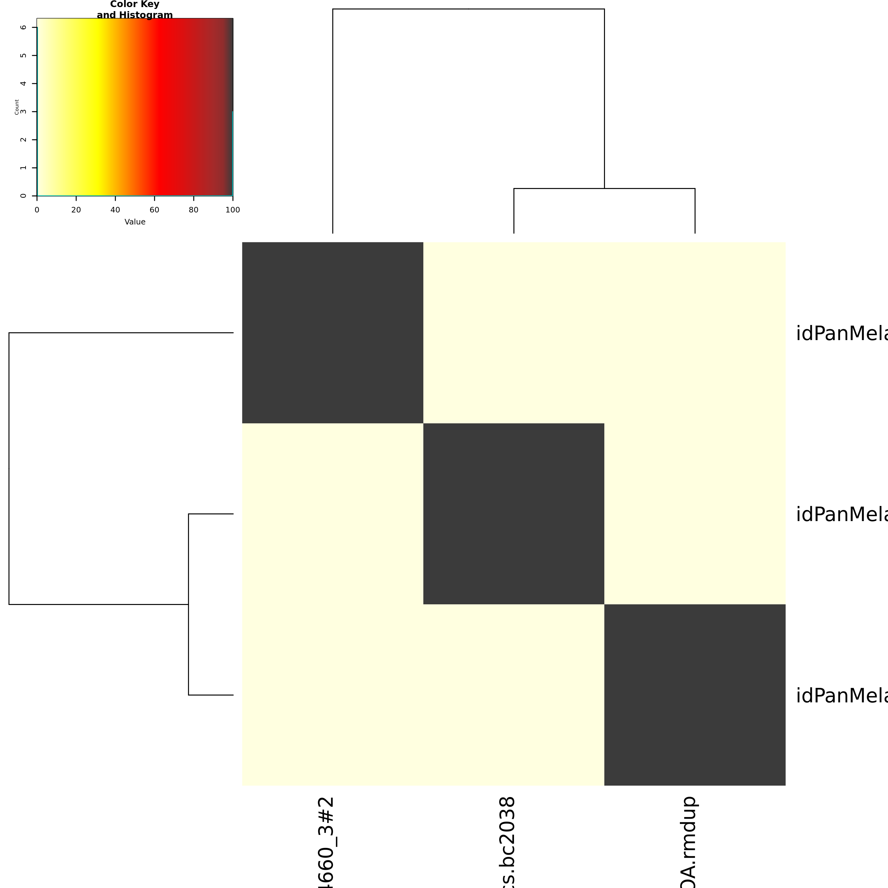 Tree of Life QC: Species Report - Pandivirilia melaleuca